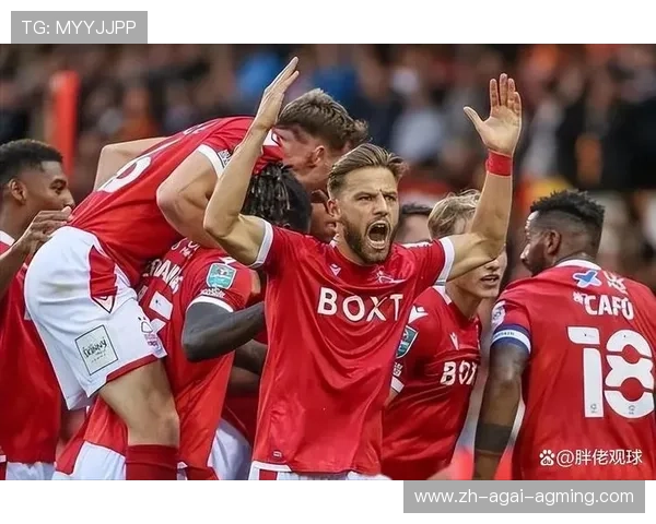 英超法甲球员去世事件回顾与影响