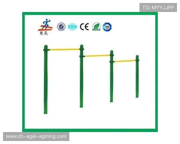 户外健身器材政府申请流程及公益项目方案